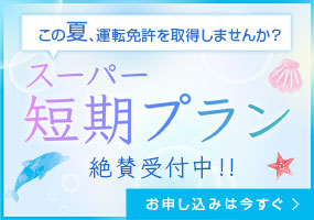 夏の短期プラン